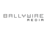 ballywire removebg preview