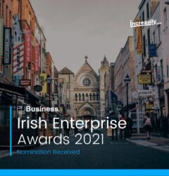 irish enterprise awards