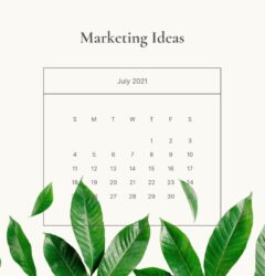 july 2021 marketing ideas what to post on social media calendar with plants