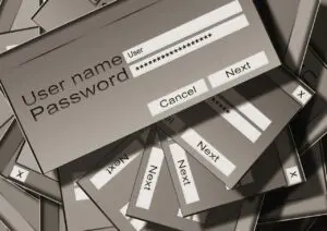 password fields grey