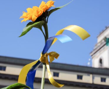 flower with ukrainian colours - russian invasion of ukraine